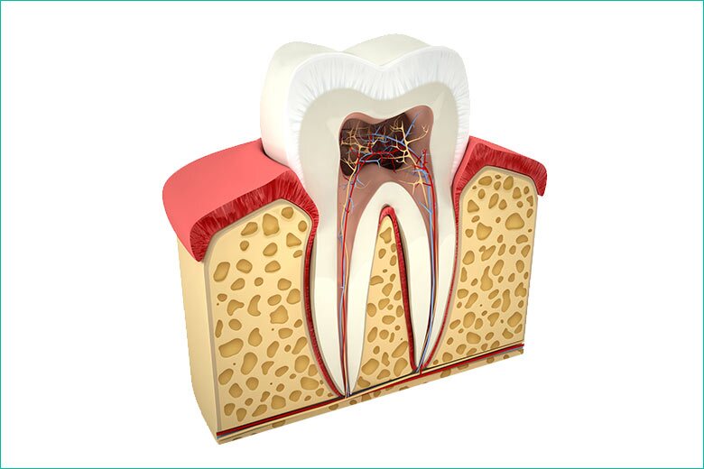 root canal treatment in toronto - west village dental clinic - dr. triassi