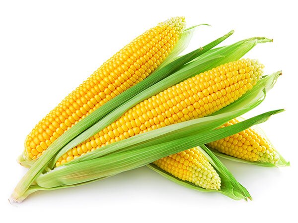 corn-dental-implants